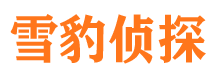 鸠江侦探公司